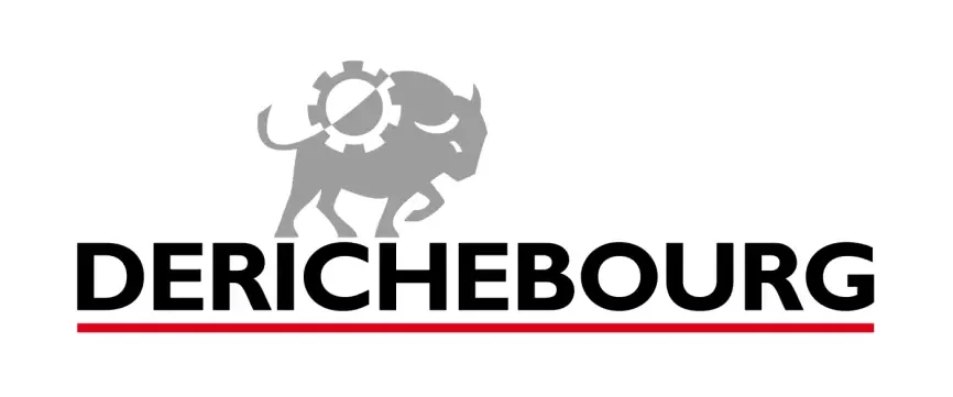 derichebourg9109.logowik.com